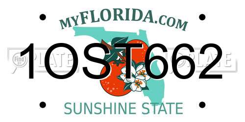 1OST662 Florida License Plate