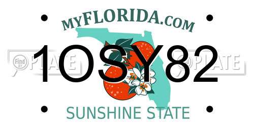 1OSY82 Florida License Plate