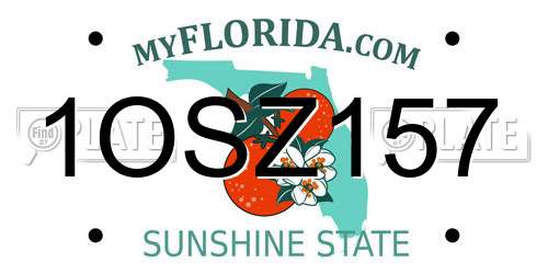 1OSZ157 Florida License Plate
