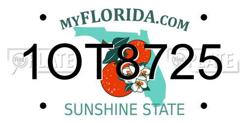 1OT8725 Florida License Plate