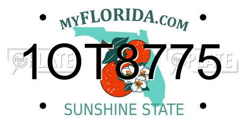 1OT8775 Florida License Plate