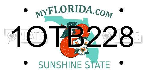 1OTB228 Florida License Plate