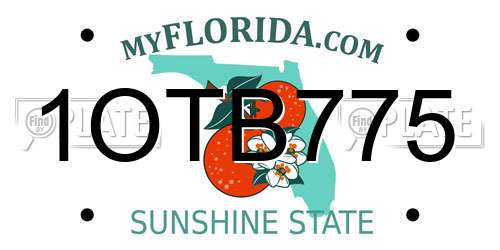 1OTB775 Florida License Plate