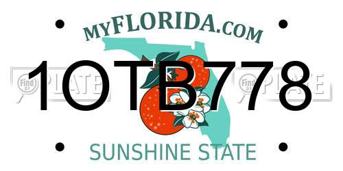 1OTB778 Florida License Plate