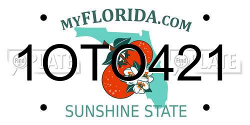 1OTO421 Florida License Plate