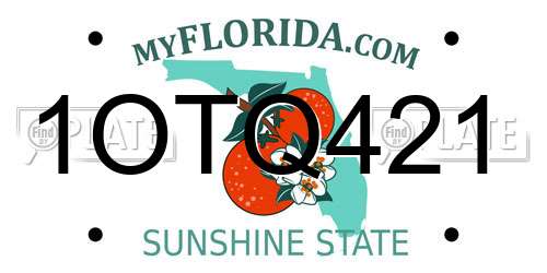 1OTQ421 Florida License Plate