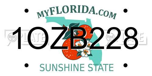 1OZB228 Florida License Plate