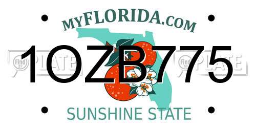 1OZB775 Florida License Plate