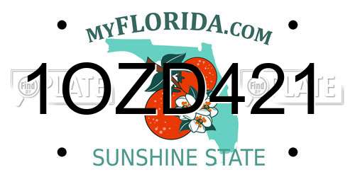 1OZD421 Florida License Plate
