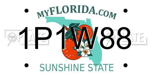 1P1W88 Florida License Plate