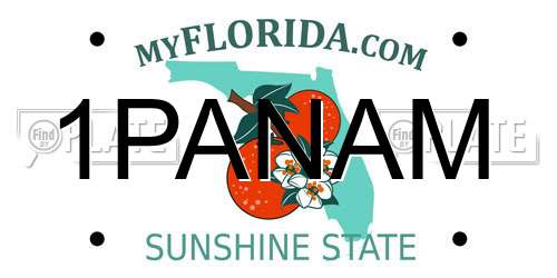 1PANAM Florida License Plate