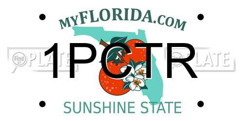 1PCTR Florida License Plate