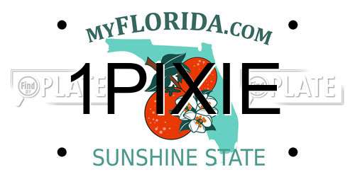 1PIXIE Florida License Plate