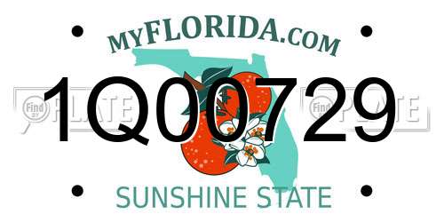 1Q00729 Florida License Plate