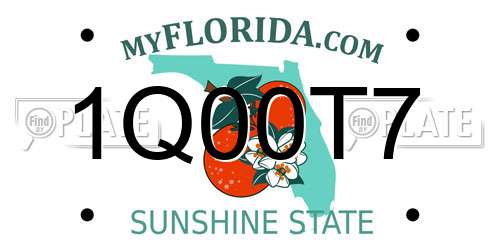 1Q00T7 Florida License Plate