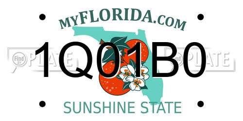 1Q01B0 Florida License Plate