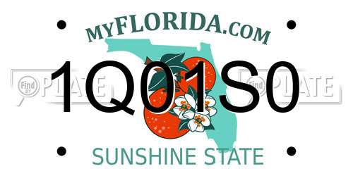 1Q01S0 Florida License Plate
