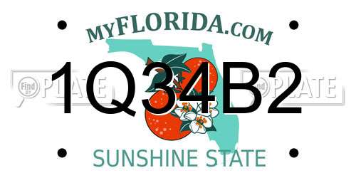 1Q34B2 Florida License Plate