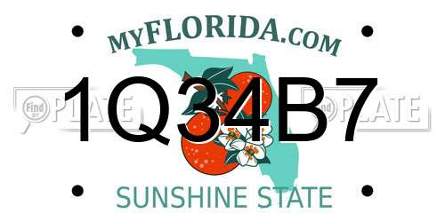 1Q34B7 Florida License Plate