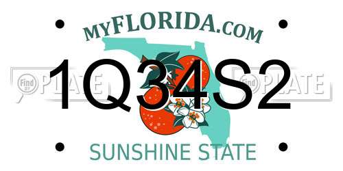 1Q34S2 Florida License Plate