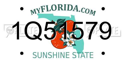 1Q51579 Florida License Plate