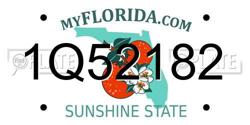 1Q52182 Florida License Plate