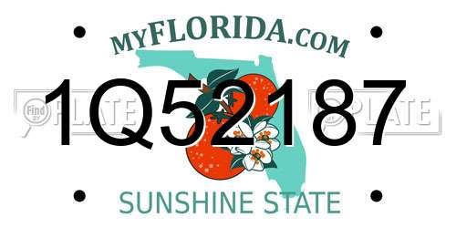 1Q52187 Florida License Plate