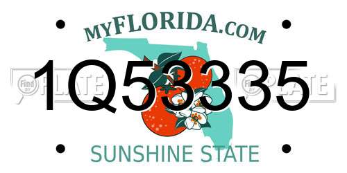 1Q53335 Florida License Plate