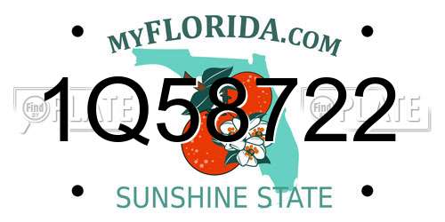 1Q58722 Florida License Plate