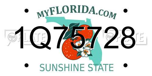 1Q75728 Florida License Plate