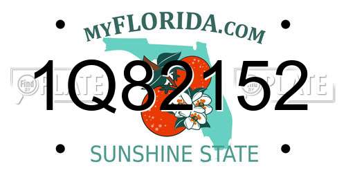 1Q82152 Florida License Plate