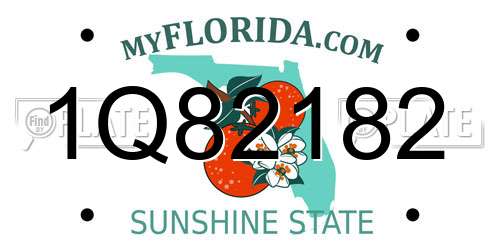 1Q82182 Florida License Plate