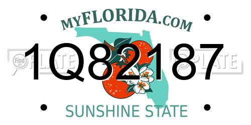 1Q82187 Florida License Plate