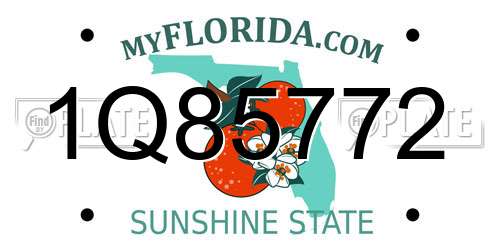 1Q85772 Florida License Plate