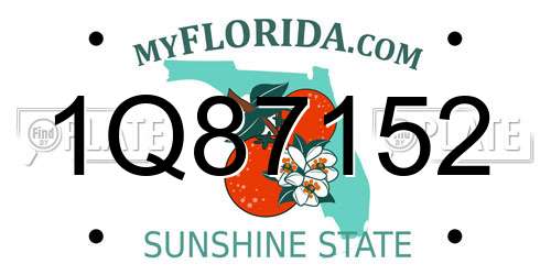 1Q87152 Florida License Plate