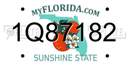 1Q87182 Florida License Plate