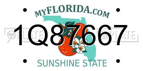 1Q87667 Florida License Plate