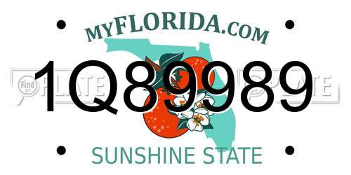 1Q89989 Florida License Plate