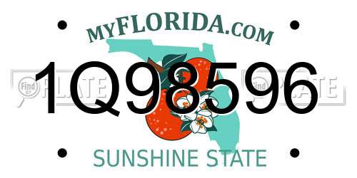 1Q98596 Florida License Plate