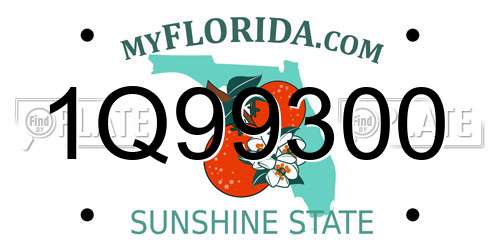 1Q99300 Florida License Plate