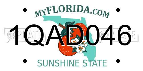 1QAD046 Florida License Plate