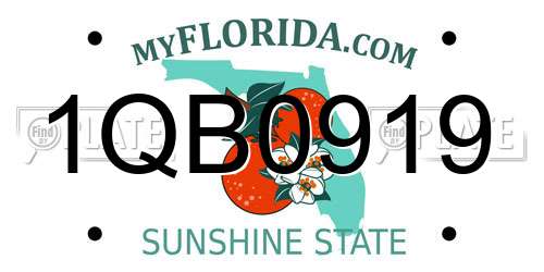 1QB0919 Florida License Plate