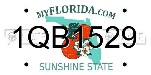1QB1529 Florida License Plate
