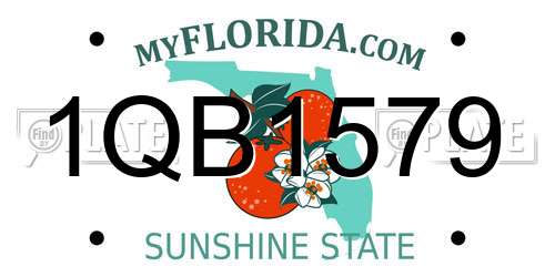 1QB1579 Florida License Plate