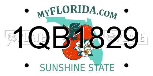 1QB1829 Florida License Plate