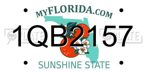 1QB2157 Florida License Plate