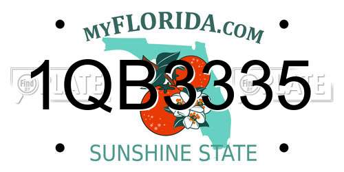 1QB3335 Florida License Plate