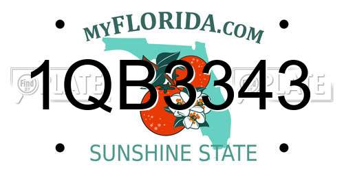 1QB3343 Florida License Plate