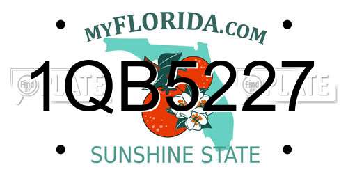 1QB5227 Florida License Plate