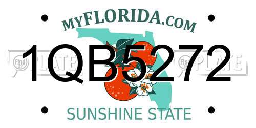 1QB5272 Florida License Plate